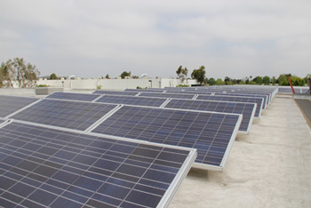 TOP OF THE HOUSE:  A solar array atop the House Foods plant <br />generates clean energy for the tofu maker.