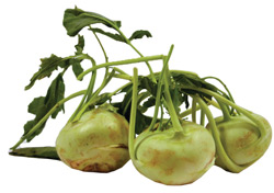 Kohlrabi