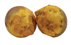 Rutabaga